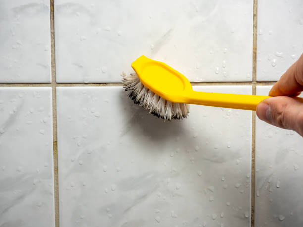 Best Residential Mold Removal  in Rayne, LA